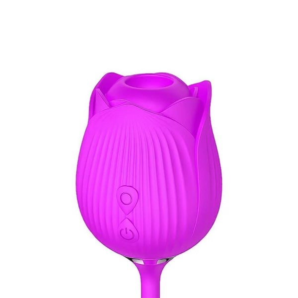 Rosa Estimulador Clitoriano Com Ponto G lilas Vai E Vem - Image 3